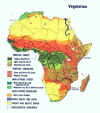 African vegitation.jpg (398784 bytes)