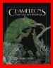 Chameleon's  Their Care and Breeding by Linda Davison BEST CHOICE